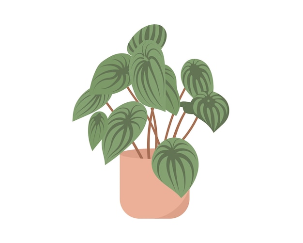 Kamerplant in een pot Kamerplant Vector illustratie