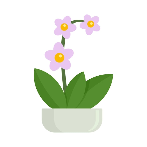 Kamerplant orchidee pictogram Vlakke afbeelding van kamerplant orchidee vector pictogram voor webdesign