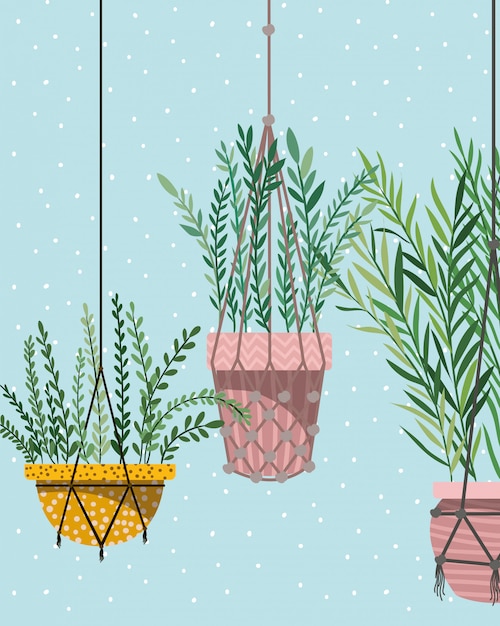 Kamerplanten in macrame-hangers