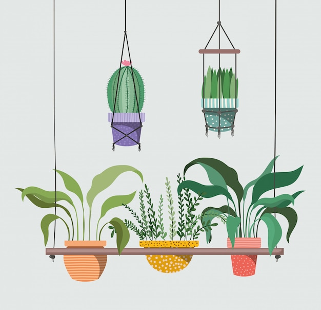 Vector kamerplanten in macrame-hangers