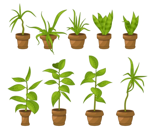 Vector kamerplanten in potten kantoor bloemen cartoon tropische bladeren groene icon set van palmboom