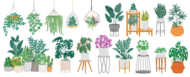 Kamerplanten met decoratieve broeikaselementen groene planten staan in potten op planken hangend in plantenbak macrame in gezellig interieur geïsoleerd op witte achtergrond vectorset