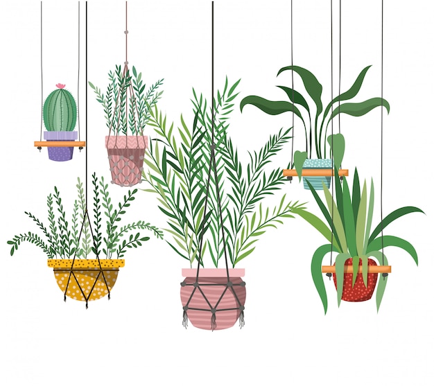 Kamerplanten op macrame hangers-pictogram