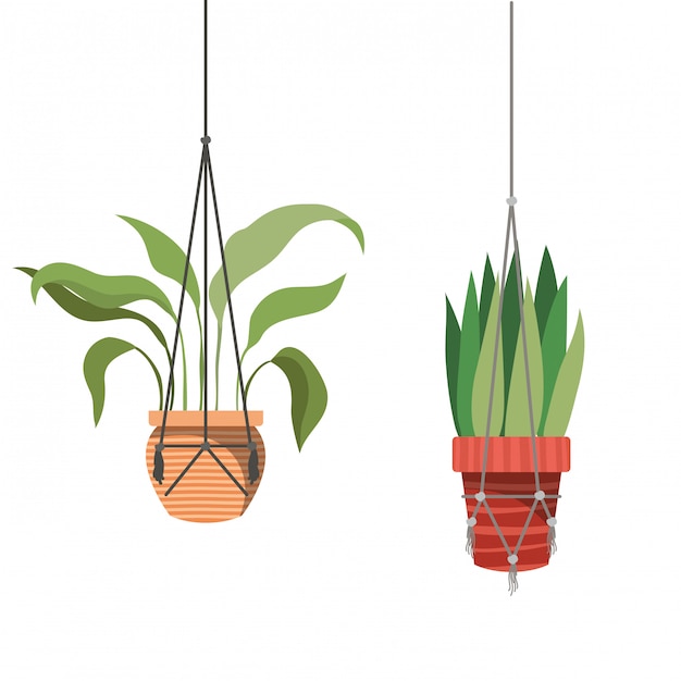 Kamerplanten op macrame hangers-pictogram