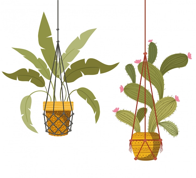 Kamerplanten op macrame hangers-pictogram