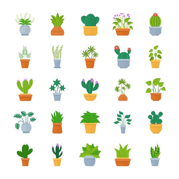 Kamerplanten platte Vector Icon Set