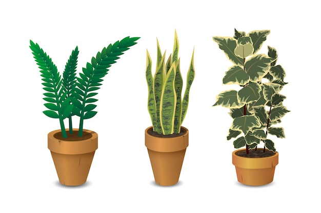 Vector kamerplanten, set potplanten