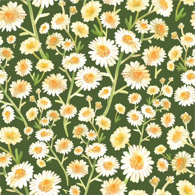 Kamille patroon Aquarel vintage illustratie