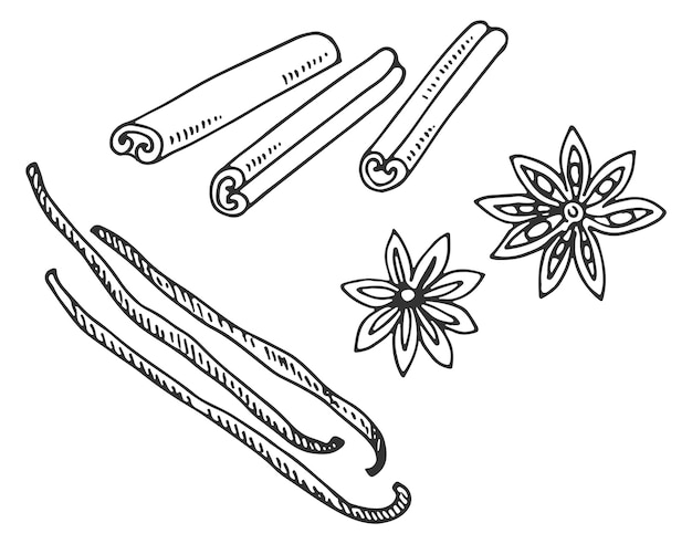 Kaneelschets Aromatische bakkerij en kookkruidentekening geïsoleerd op witte achtergrond