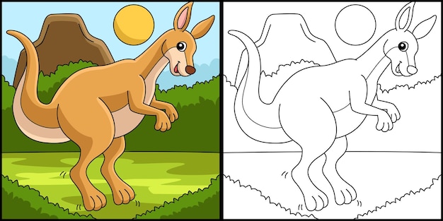 Kangaroo Animal Coloring Page Colored Illustration