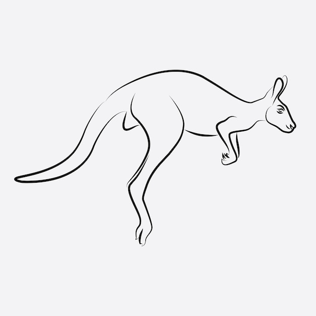 Kangaroo animal line art