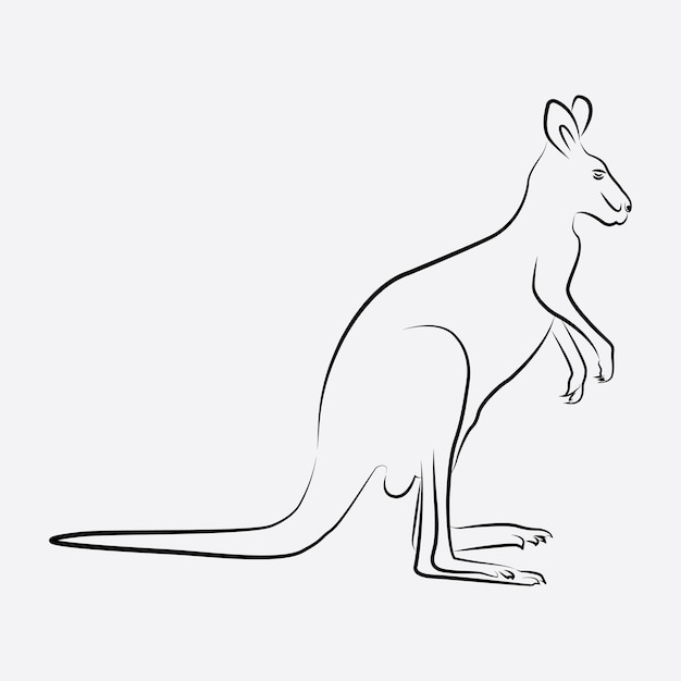 Kangaroo animal line art