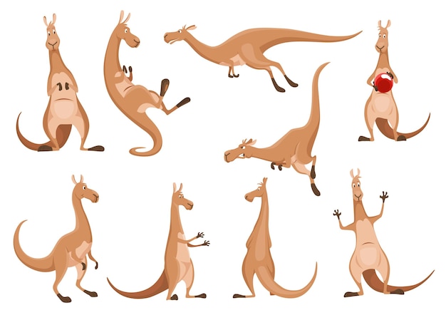 Kangaroo characters set in different poses Adult kangaroo with pouch standing and jumping Vector collection of flat cartoon animal australian fauna and wildlife isolated on white background