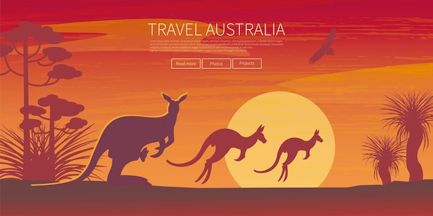 Kangaroo clip art