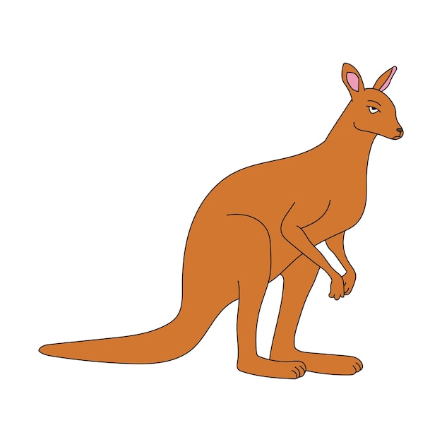 Vector kangaroo clipart cartoon wild animals clipart set for lovers of wildlife