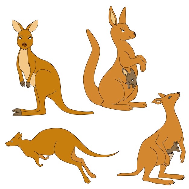 Vector kangaroo clipart set cartoon wild animals clipart set for lovers of wildlife