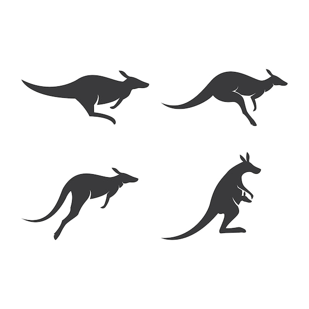 Kangaroo illustration design