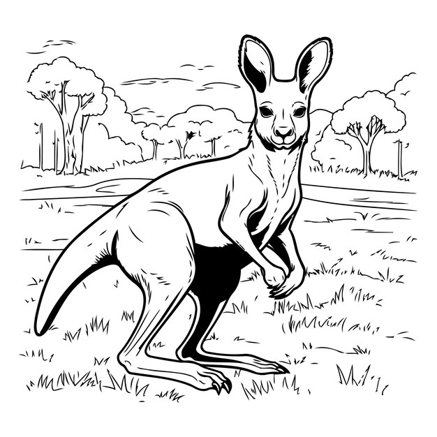 Vector kangaroo in het park vector illustratie van een kangoeroe