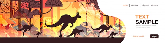 Vector kangaroo running from forest fires in australia animals dying in wildfire bush fire burning trees natural disaster concept intense orange flames  horizontal