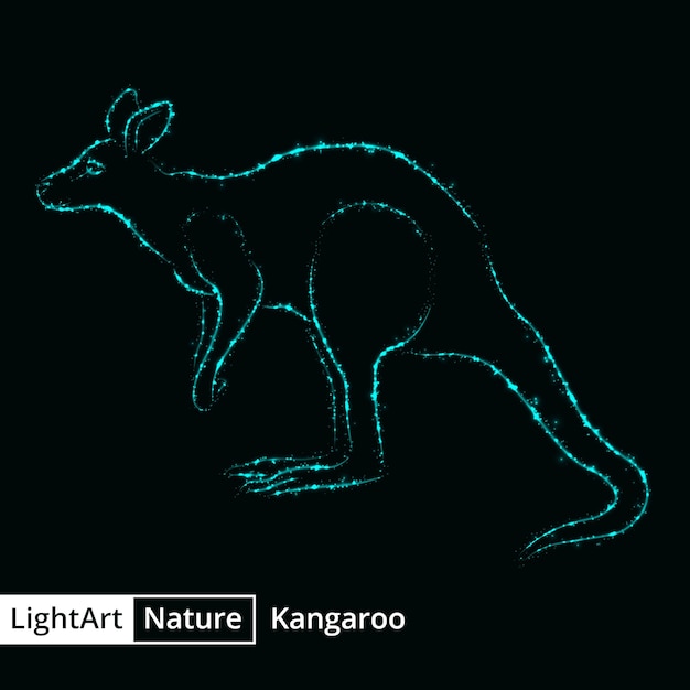 Vector kangaroo silhouette of lights on black background