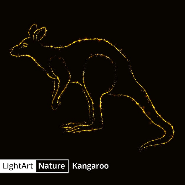 Kangaroo silhouette of lights on black background