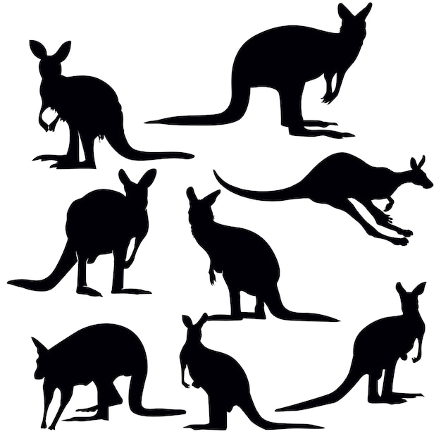 kangaroo silhouette set