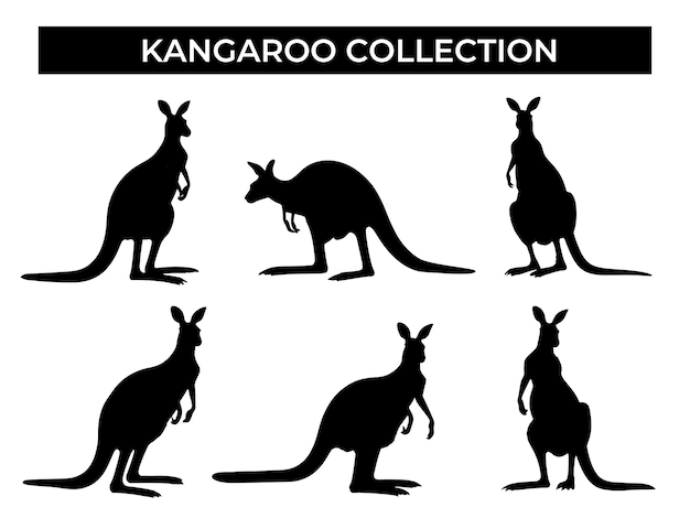 Vector kangaroo-silhouetten in verschillende poses