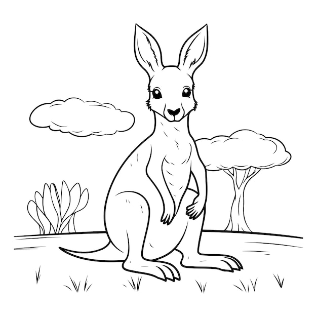 Kangaroo sitting on the grass of a kangaroo