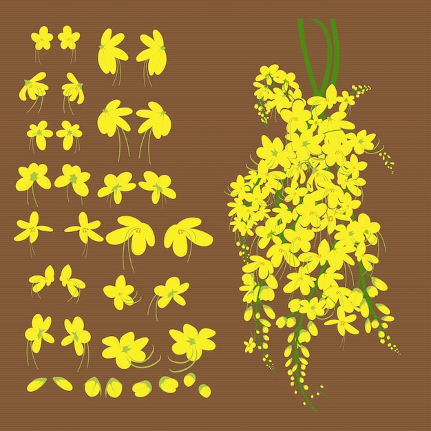 Vector kani konna flowers