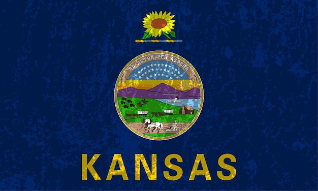 Kansas staat grunge vlag Vector illustratie