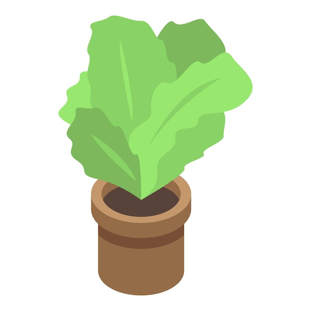 Kantoor plant pot pictogram Isometrisch van kantoor plant pot vector pictogram voor webdesign geïsoleerd op een witte achtergrond