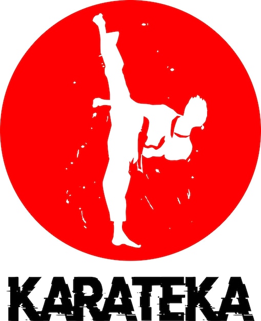 Vector karate logo icon