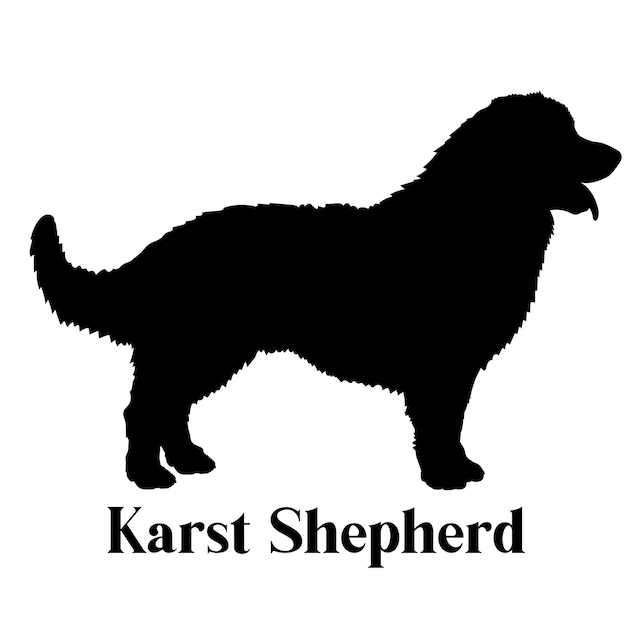 Vector karst shepherd dog silhouette