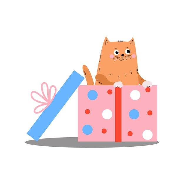 Kat in een geschenkdoos