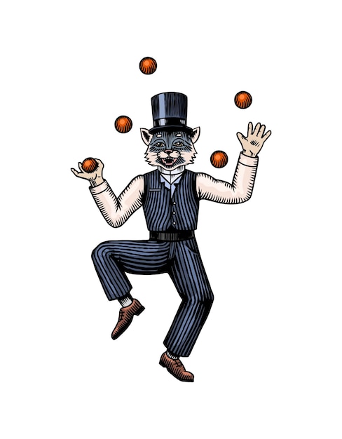 Vector kat jongleur man in een pak en een hoed met ballen mode dier personage hand getekende houtsnede contour