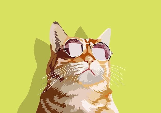 kat rgb