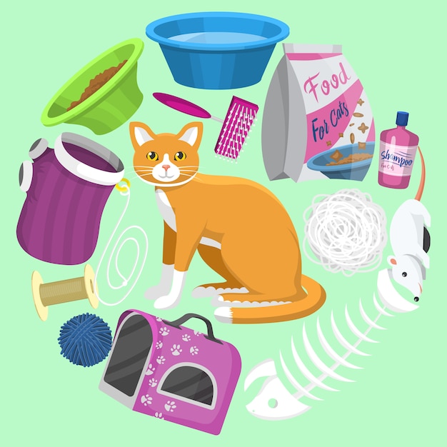 Katten accessoires. Dierbenodigdheden, voedsel en speelgoed voor katten, toilet, draagtas en verzorgingsartikelen en verzorging voor huisdieren allemaal rondom een schattige gemberkat.