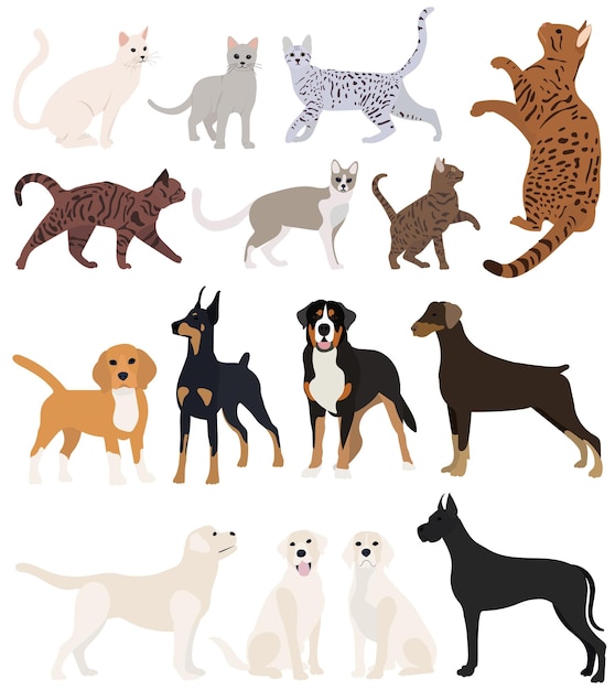 Vector katten en honden instellen platte ontwerp geïsoleerde vector