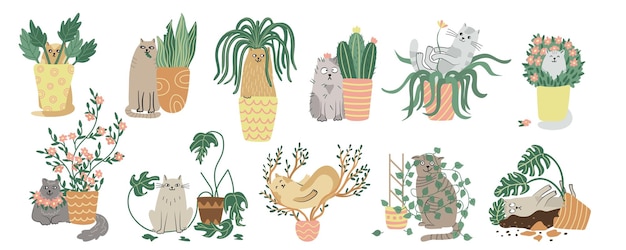 Katten en kamerplanten instellen handgetekende platte vectorillustratie