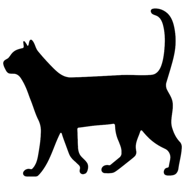 Vector katten schaduw enkelvoud 31