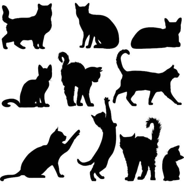 Katten silhouet