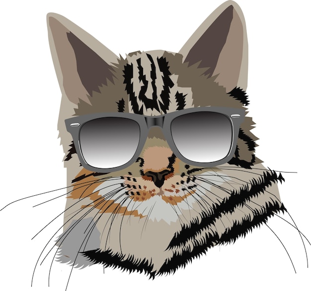 Kattenhoofd met de bril