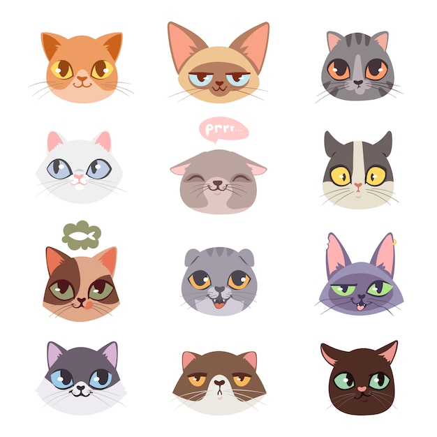 Kattenkoppen illustraties instellen