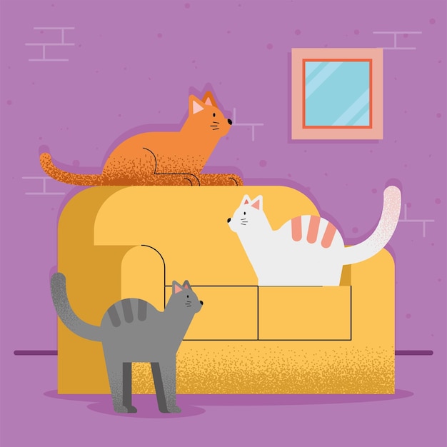 Kattenmascottes op de bank