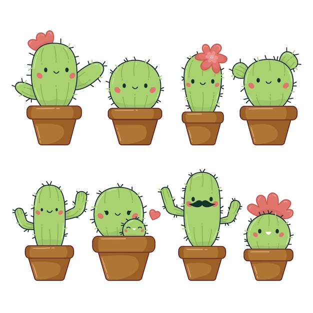 Cactus kawaii in vasi di fiori