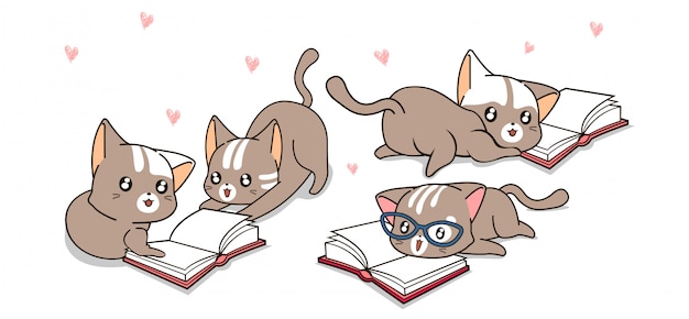 Kawaii cat characters are reading book happily