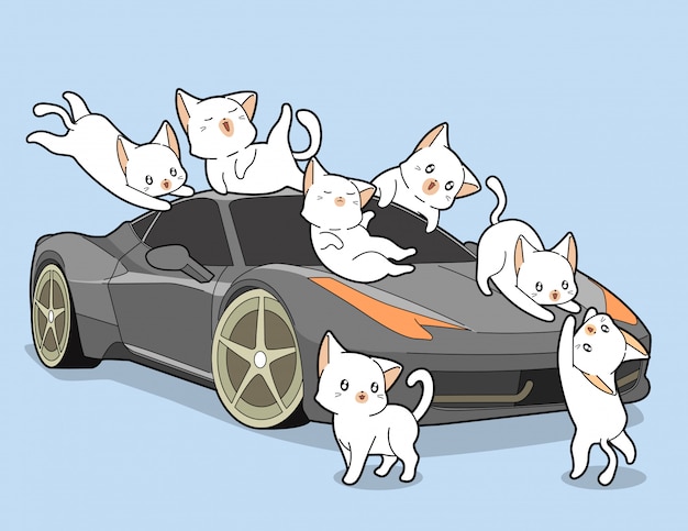 Kawaii cats and auto car.