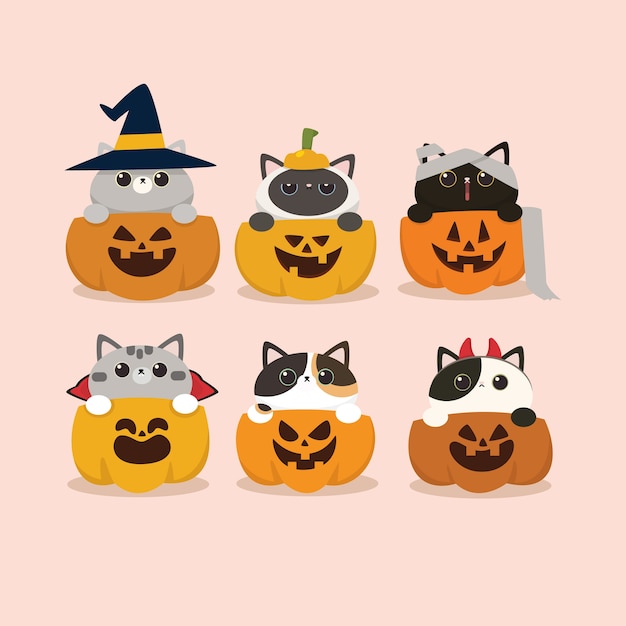 Kawaii Cute Flat design halloween Cat and Pumpkin set