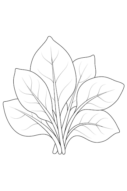 Premium Vector | Kawaii spinach coloring page for kids