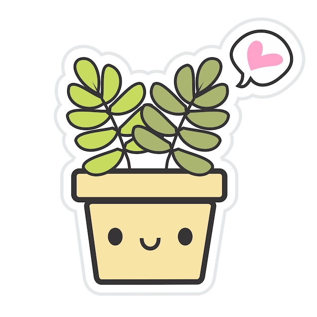 Kawaii succulente